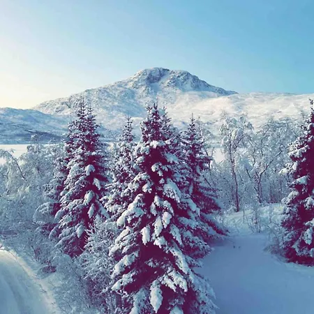 With Sauna And Aurora Views Karlsoy